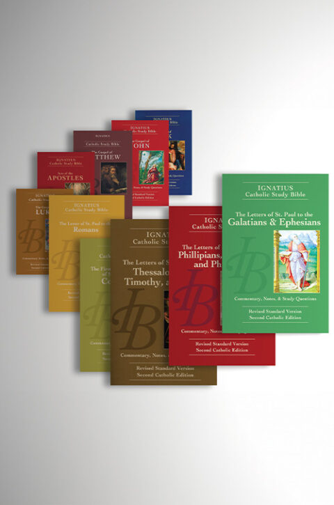 Ignatius Catholic Study Bible: New Testament | Ignatius Catholic Study ...